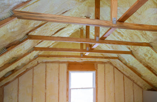 Best Types of Insulation in Port Richey, FL