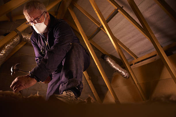 Best Insulation for Specific Applications in Port Richey, FL